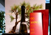 UCC Launches Limited-Edition “YOINED,” a Greatly Evolved Version of Its “Non-Drinkable Coffee,” Promoting It as a Pairing for Sake “YOINED” (front) and “AMA-IRO” (center)