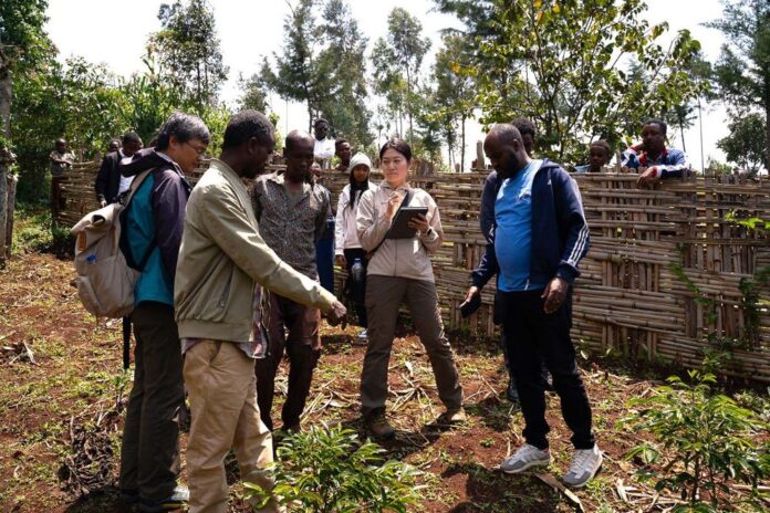 Key Coffee employees visiting Ethiopian farms for interviews and field observation Key Coffee employees visiting Ethiopian farms for interviews and field observation