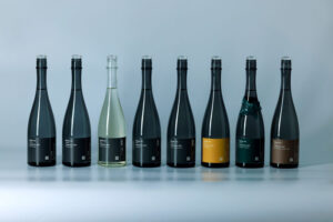 Diverse lineup from the first year