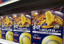 “Japanese-Style Bon Curry” That Goes with Both Rice and Noodles; Expanding Beyond the Retort Section into the Noodle Section, with Inbound Demand Also in View “Japanese-Style Bon Curry for Enjoying Umami: Japanese-Style Curry with Carefully Selected Dashi”