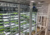 Agricultural Innovation Through a State-of-the-Art Plant Factory; A-Plus Contributes to Disaster-Affected Area Reconstruction and Food Security Farm & Factory TAMURA plant factory