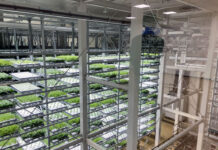 Agricultural Innovation Through a State-of-the-Art Plant Factory; A-Plus Contributes to Disaster-Affected Area Reconstruction and Food Security Farm & Factory TAMURA plant factory