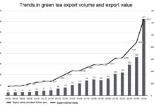Green Tea Exports Double; Overseas Demand for Matcha Soars, Quality Focus Strengthens Trends in green tea export volume and export value