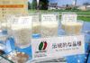 Promoting Italian Rice; “We Want It to Reach Japanese Tables in the Future” — Italy’s Largest-Ever Booth at FOODEX Italian rice corner