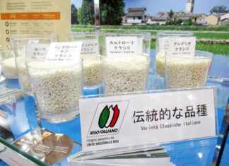 Promoting Italian Rice; “We Want It to Reach Japanese Tables in the Future” — Italy’s Largest-Ever Booth at FOODEX Italian rice corner