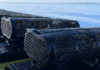 Hearing About the Outlook for Oyster Farming (Part 1) — Expanding the “In-Shell” Market, Responding to Environmental Changes and Efficiency Gains; SEAPA Japan President Takehiro Yoshimoto Single-seed farming drawing attention