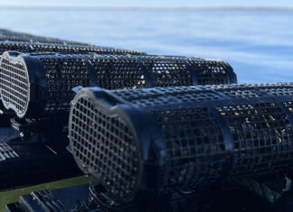 Hearing About the Outlook for Oyster Farming (Part 1) — Expanding the “In-Shell” Market, Responding to Environmental Changes and Efficiency Gains; SEAPA Japan President Takehiro Yoshimoto Single-seed farming drawing attention