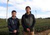 Japanese Tea at a Turning Point: Even as Tea Prices Soar, First-Flush Tea Faces a Lack of Buyers; A Shizuoka Tea Farmer Speaks from the Front Lines: “We Want to Protect Japanese Tea Culture” From left: Yoshimoto Egawa, Deputy Manager of the Tea Industry Center at the Distribution and Sales Department of JA Hainan; and Tsugito Yokoyama, Vice President of the Katsumada Kaitaku Tea Agricultural Cooperative