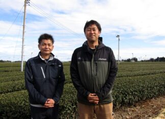 Japanese Tea at a Turning Point: Even as Tea Prices Soar, First-Flush Tea Faces a Lack of Buyers; A Shizuoka Tea Farmer Speaks from the Front Lines: “We Want to Protect Japanese Tea Culture” From left: Yoshimoto Egawa, Deputy Manager of the Tea Industry Center at the Distribution and Sales Department of JA Hainan; and Tsugito Yokoyama, Vice President of the Katsumada Kaitaku Tea Agricultural Cooperative