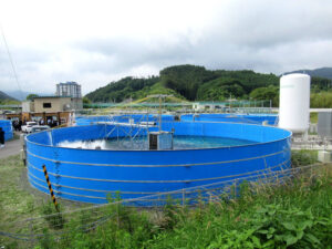 Tanks at the Kesen River Fish Farm